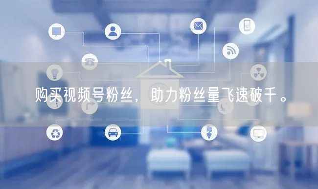 购买视频号粉丝，助力粉丝量飞速破千。