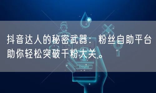抖音达人的秘密武器：粉丝自助平台助你轻松