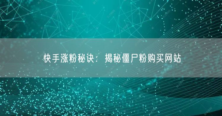 快手涨粉秘诀：揭秘僵尸粉购买网站