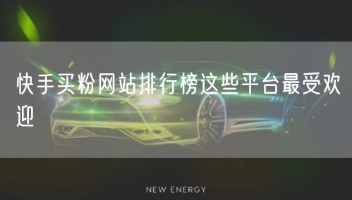 快手买粉网站排行榜这些平台最受欢迎