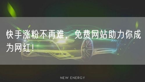 快手涨粉不再难，免费网站助力你成为网红！