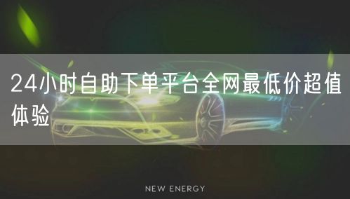 24小时自助下单平台全网最低价超值体验