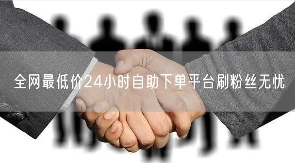 全网最低价24小时自助下单平台刷粉丝无忧