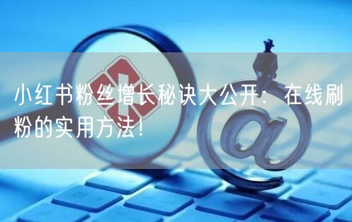 小红书粉丝增长秘诀大公开：在线刷粉的实用