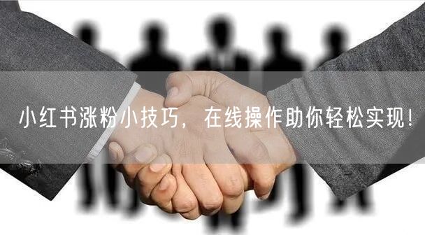 小红书涨粉小技巧，在线操作助你轻松实现！