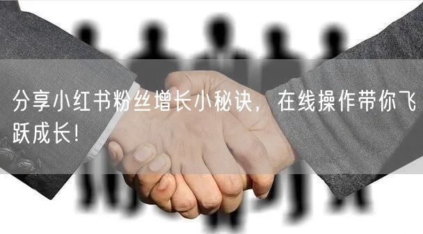 分享小红书粉丝增长小秘诀，在线操作带你飞