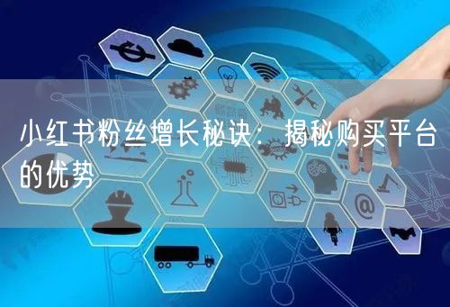 小红书粉丝增长秘诀：揭秘购买平台的优势