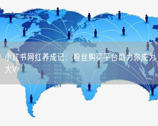 小红书网红养成记：粉丝购买平台助力你成为