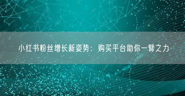 小红书粉丝增长新姿势：购买平台助你一臂之
