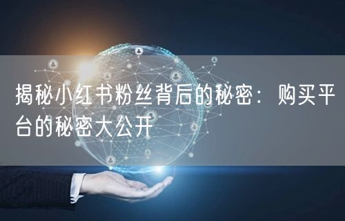 揭秘小红书粉丝背后的秘密：购买平台的秘密