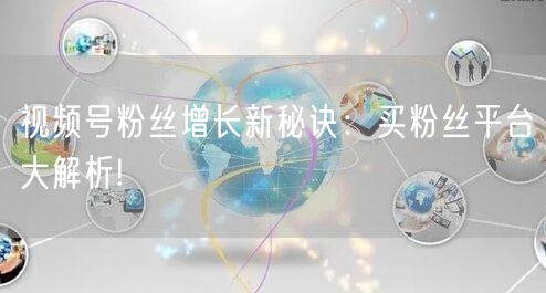 视频号粉丝增长新秘诀：买粉丝平台大解析!