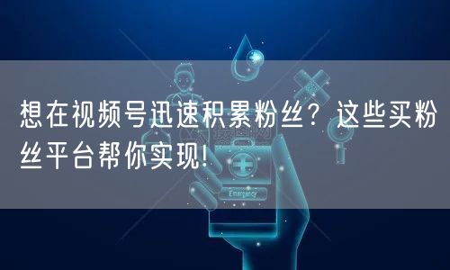 想在视频号迅速积累粉丝？这些买粉丝平台帮
