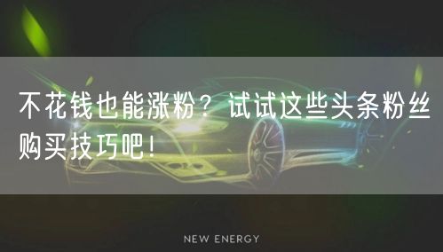 不花钱也能涨粉？试试这些头条粉丝购买技巧