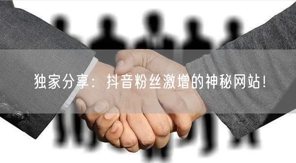 独家分享：抖音粉丝激增的神秘网站！